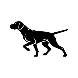 Czarny Dwór